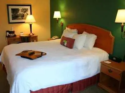 Hampton Inn & Suites Williamsburg-Richmond Road 3*, Williamsburg United States