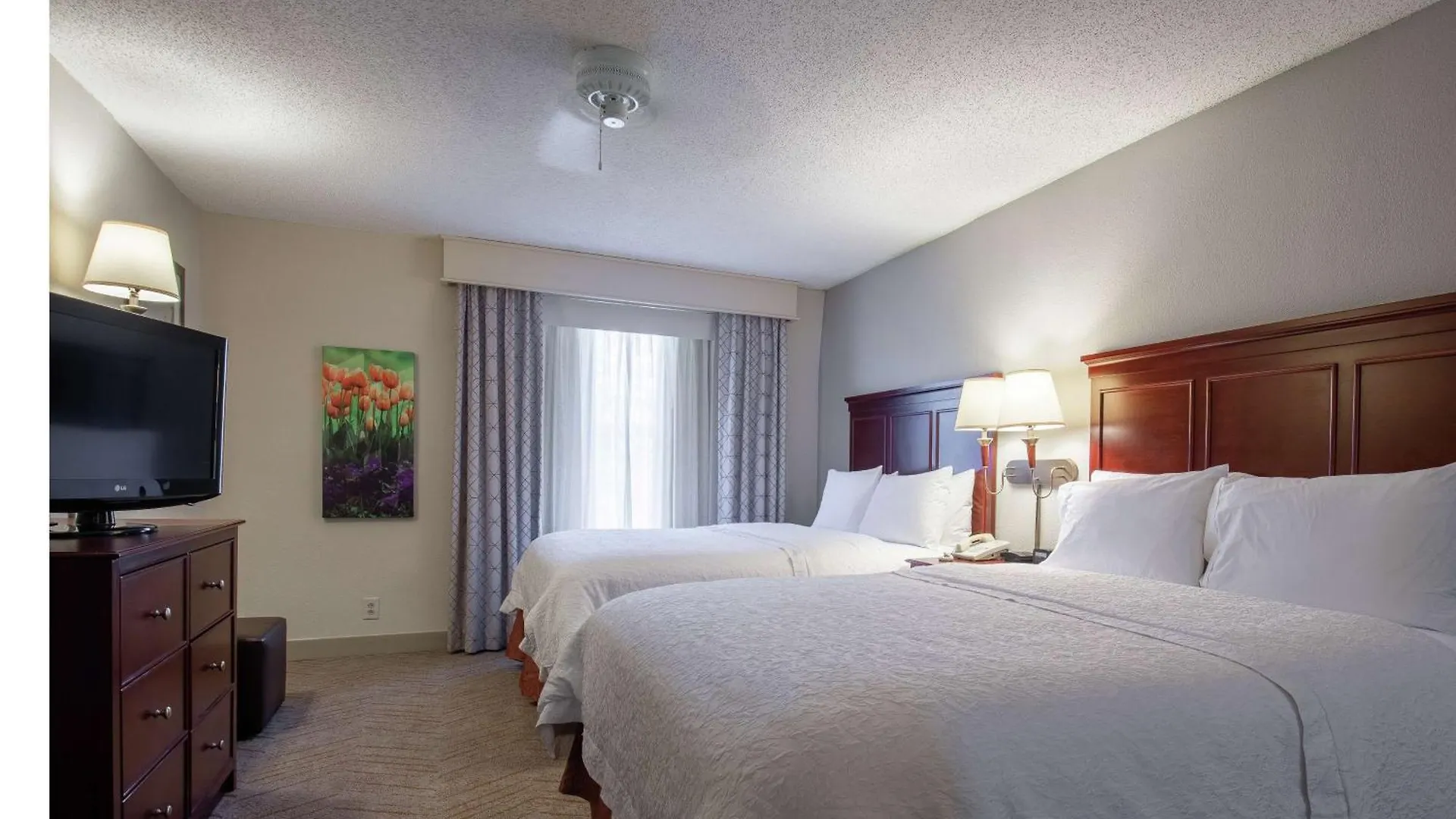 Hampton Inn & Suites Williamsburg-Richmond Road